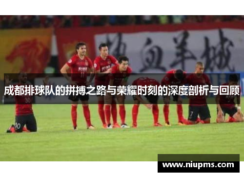 成都排球队的拼搏之路与荣耀时刻的深度剖析与回顾