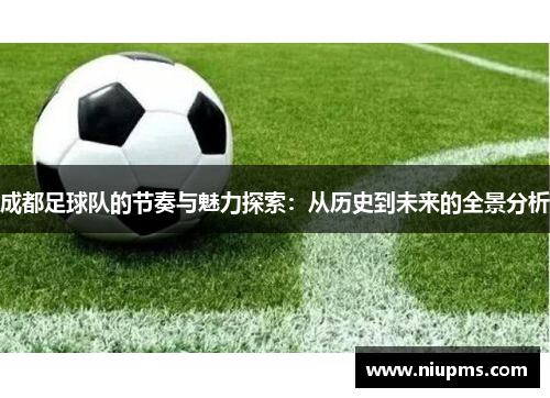 成都足球队的节奏与魅力探索：从历史到未来的全景分析