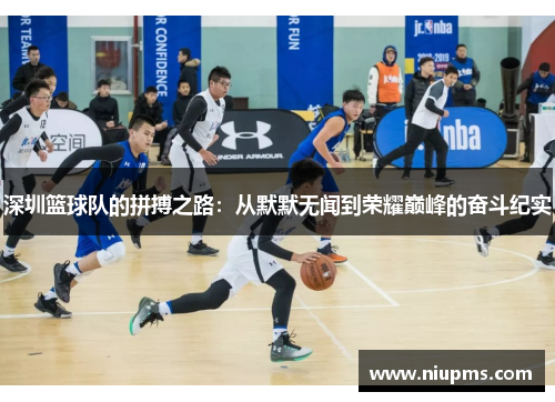 深圳篮球队的拼搏之路：从默默无闻到荣耀巅峰的奋斗纪实