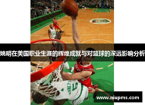 姚明在美国职业生涯的辉煌成就与对篮球的深远影响分析